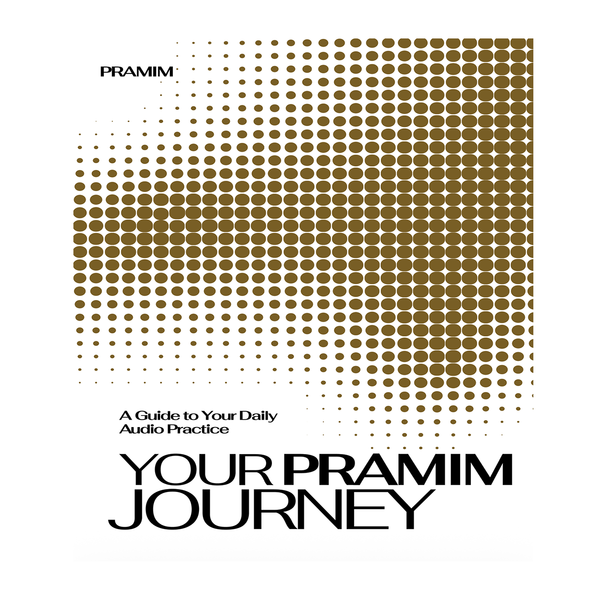 The PRAMIM user guide cover